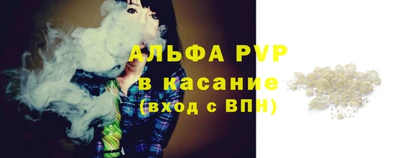 твердый Абаза